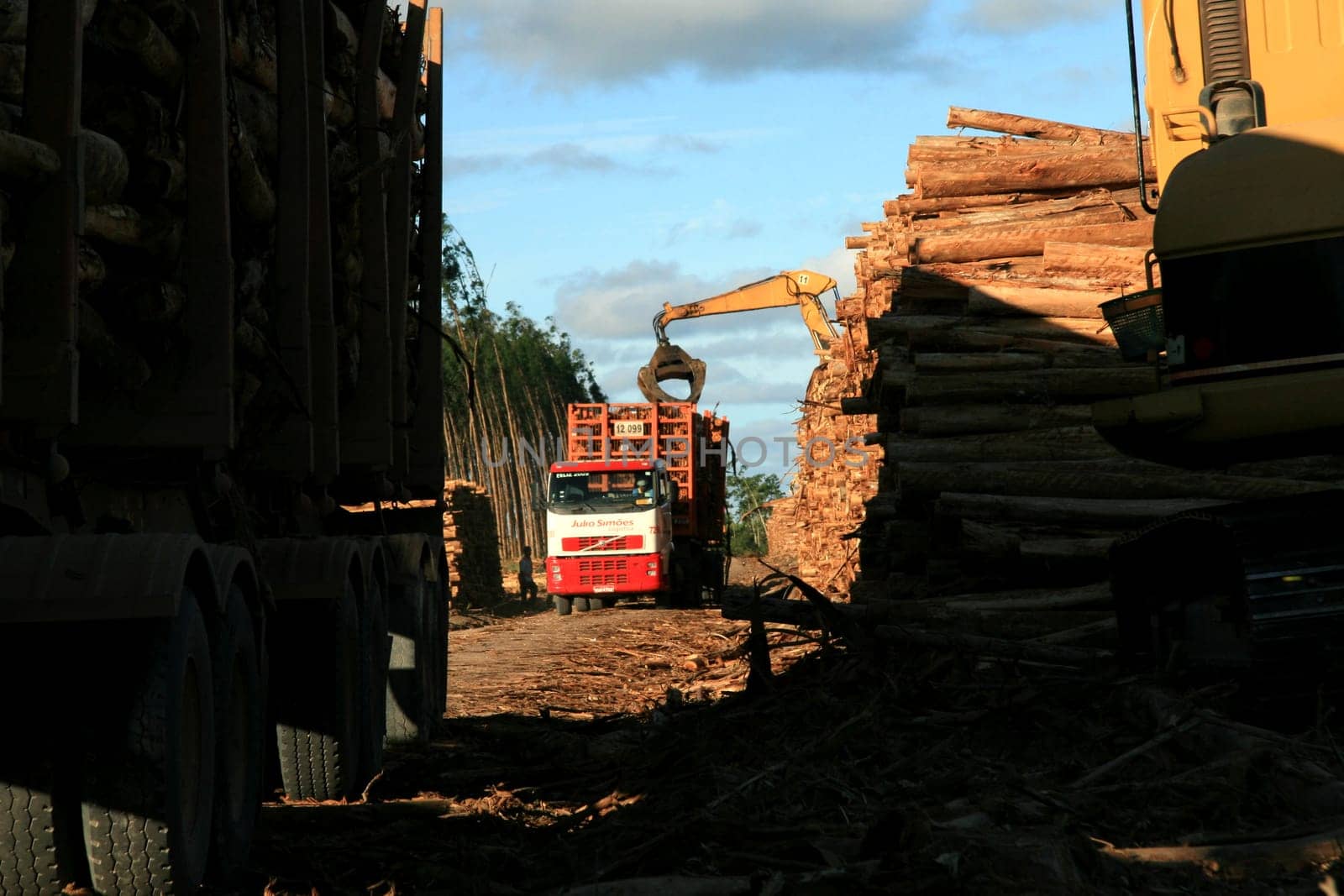 eunapolis, bahia / brazil - july 8, 2011: eucalyptus log transport cart in the rural area of the city of Eunapolis, in southern Bahia.