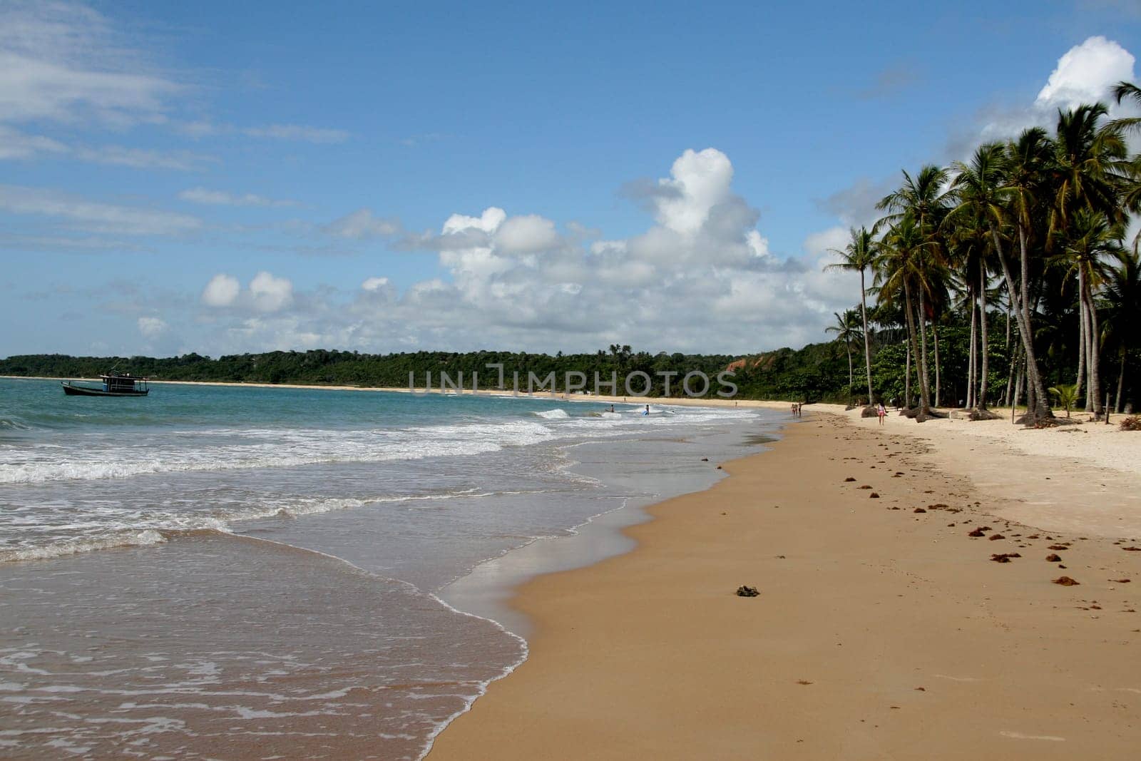 porto seguro, bahia / brazil - january 15, 2008: coconut trees are seen on a deserted beach in the Trancoso district in the city of Porto Seguro, in southern Bahia.