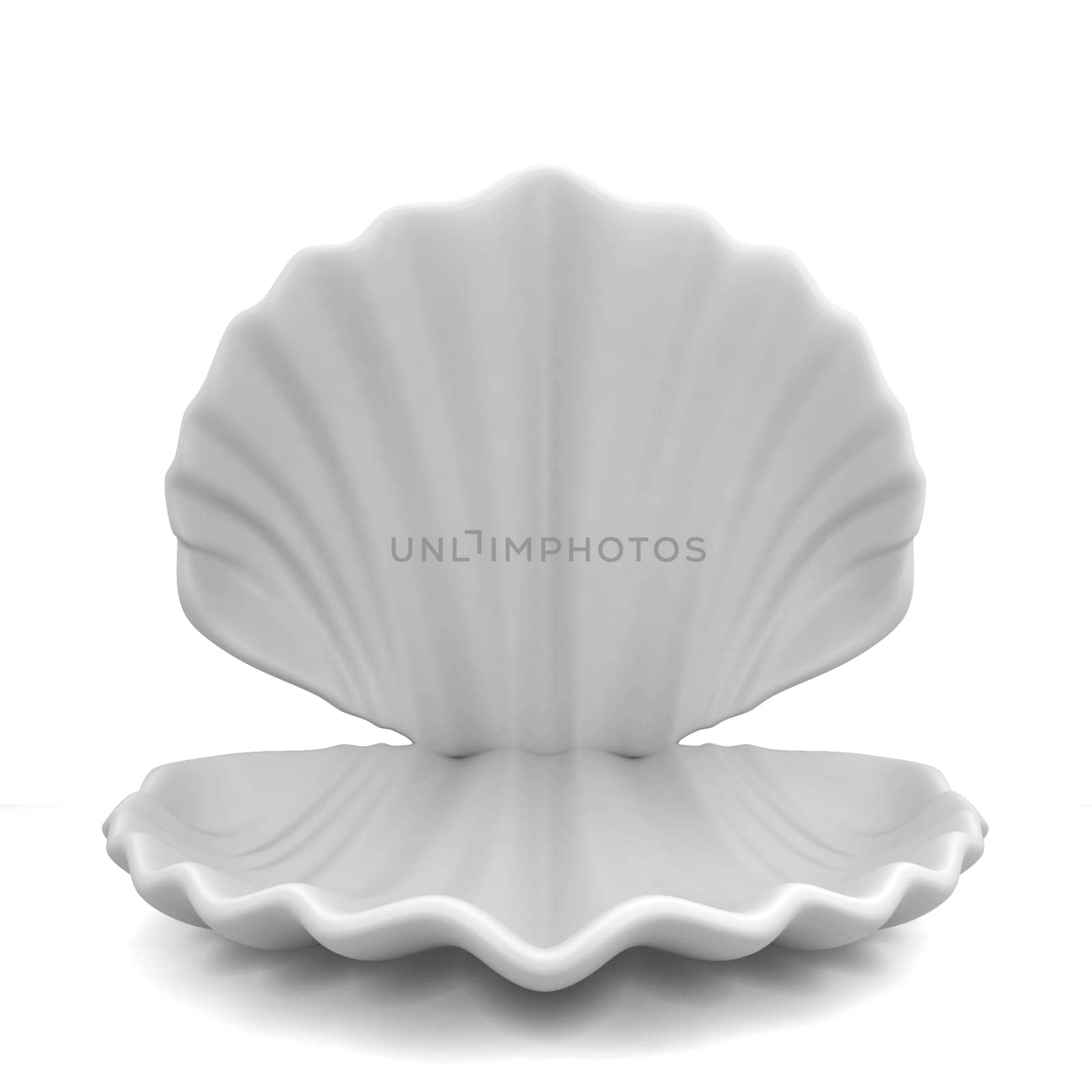 Empty shell. 3d illustration isolated on white background