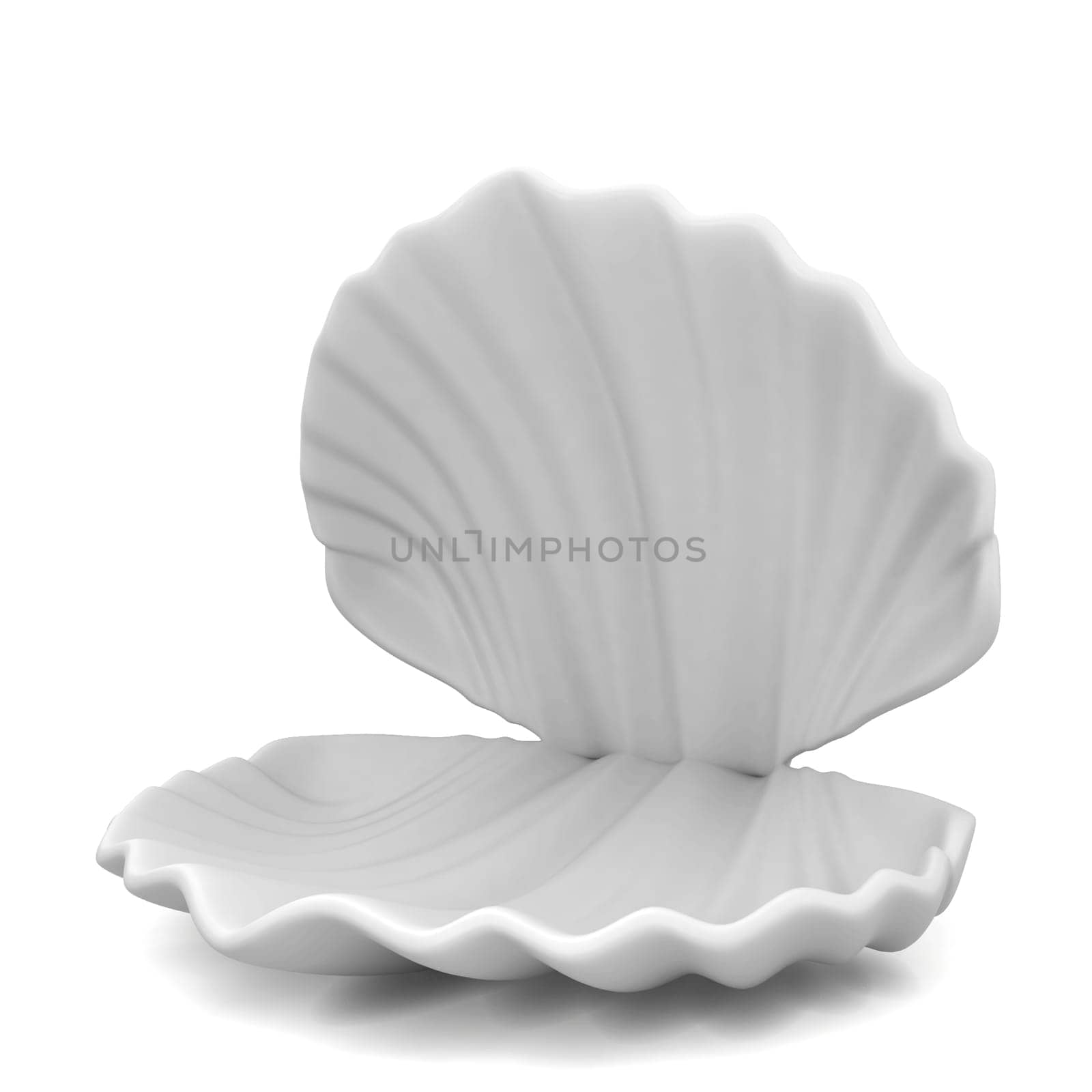 Empty shell. 3d illustration isolated on white background