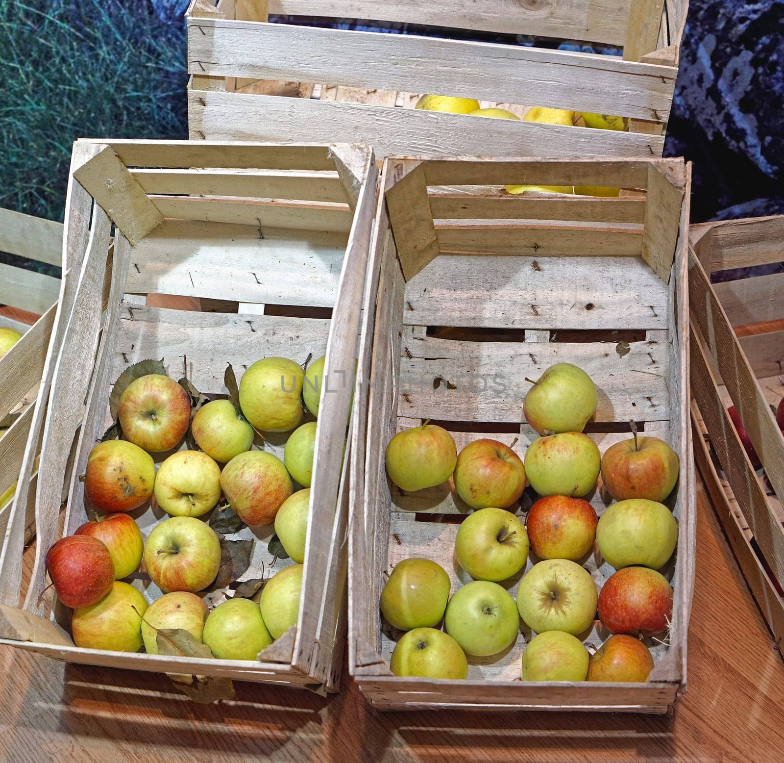 Apples fruits in two wooden crates