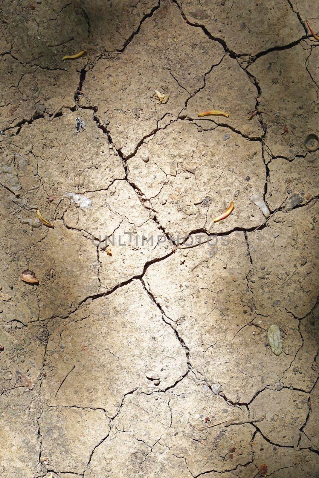 Cracked earth dust and dirt caused by drought