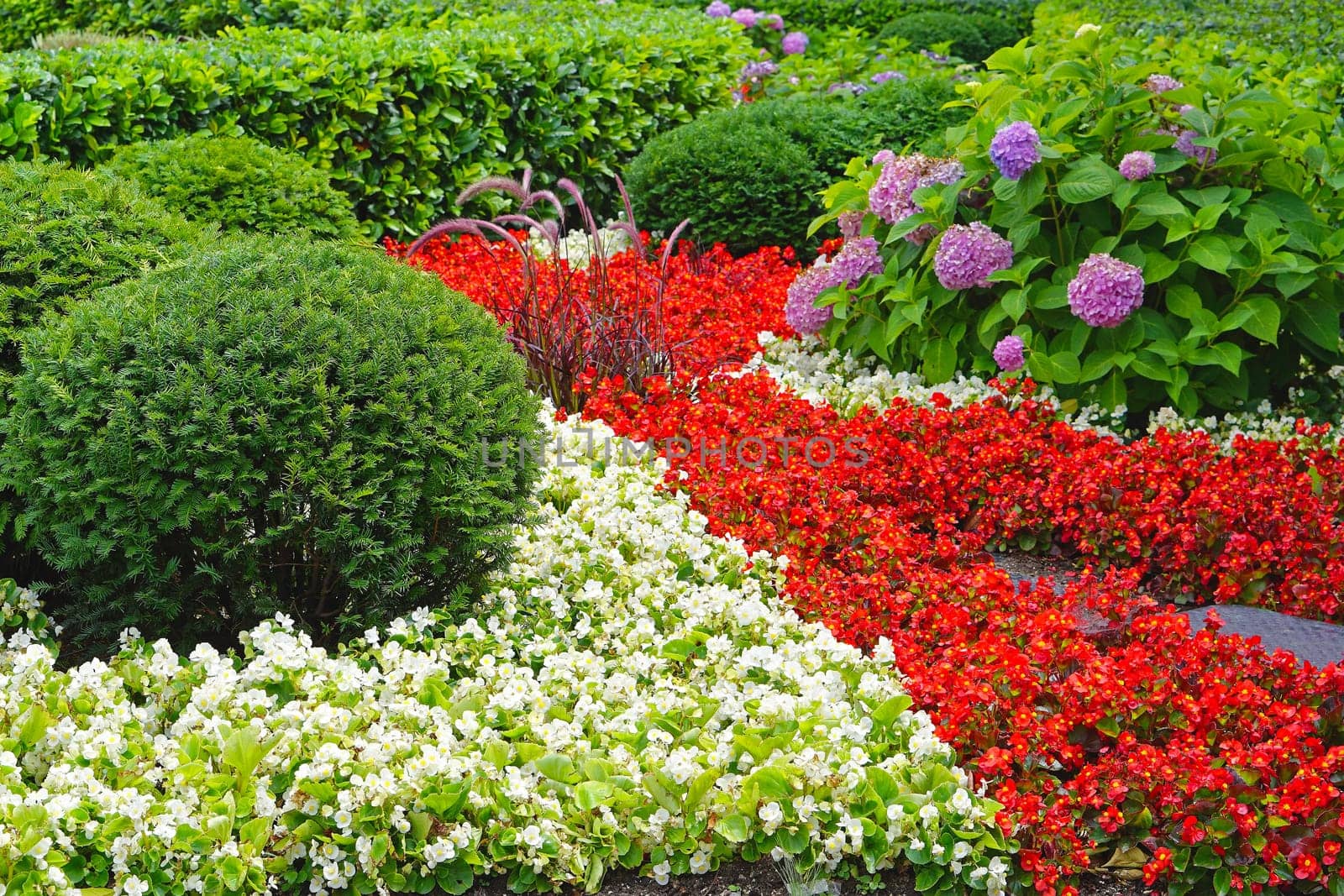 Cultivated garden with flowers in park