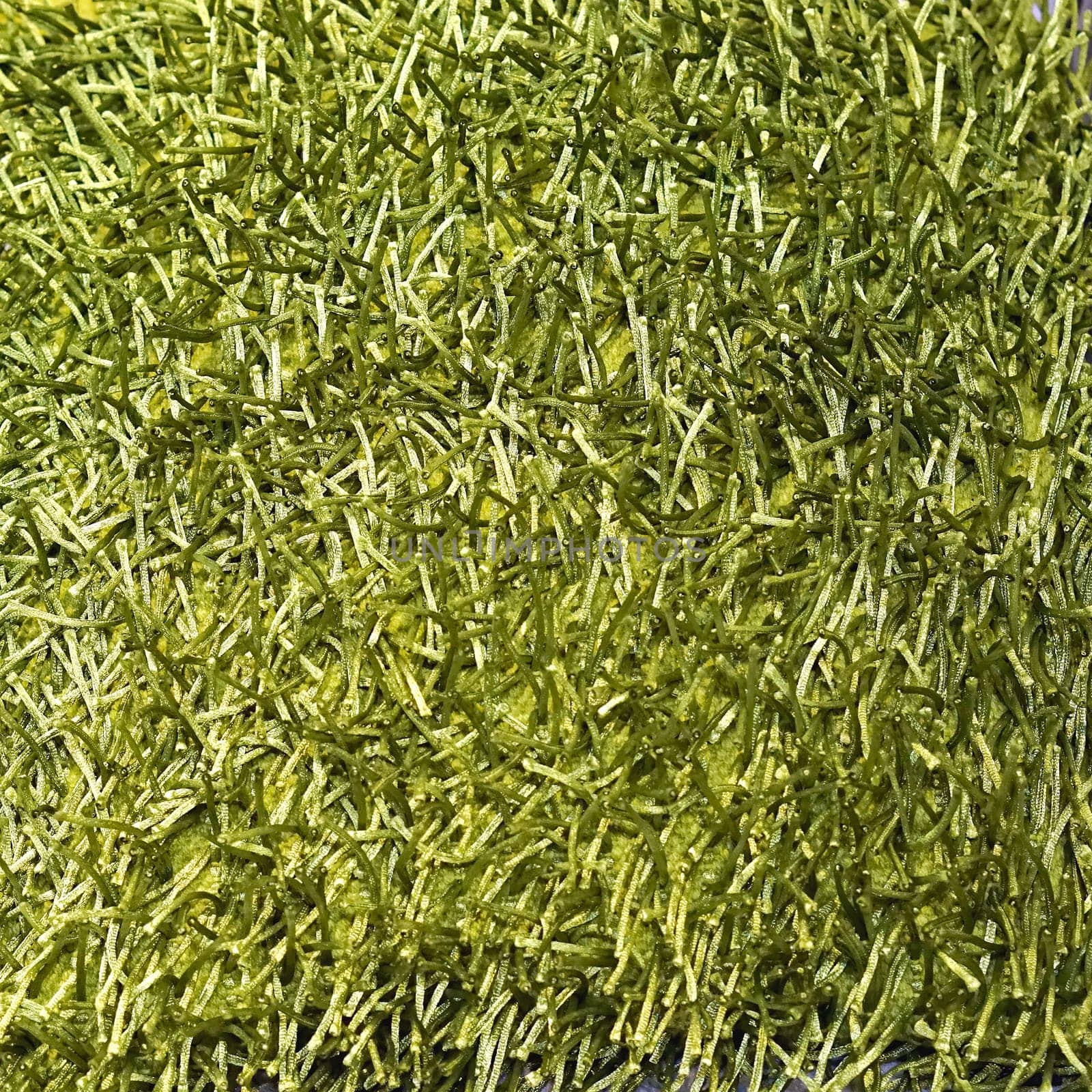 Contemporary style green carpet texture