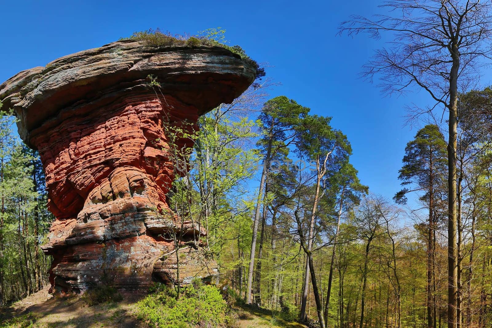 Devil's table stands on a hill in the middle of the forest