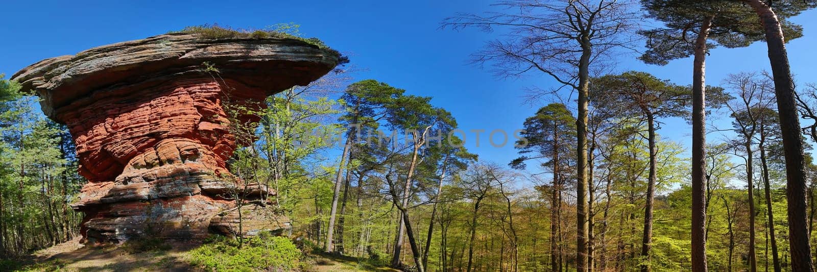 Devil's table stands on a hill in the middle of the forest