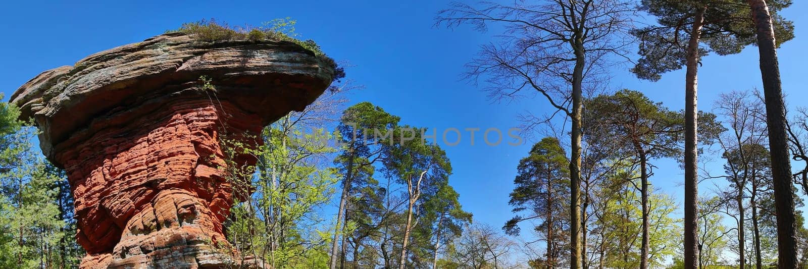 Devil's table stands on a hill in the middle of the forest