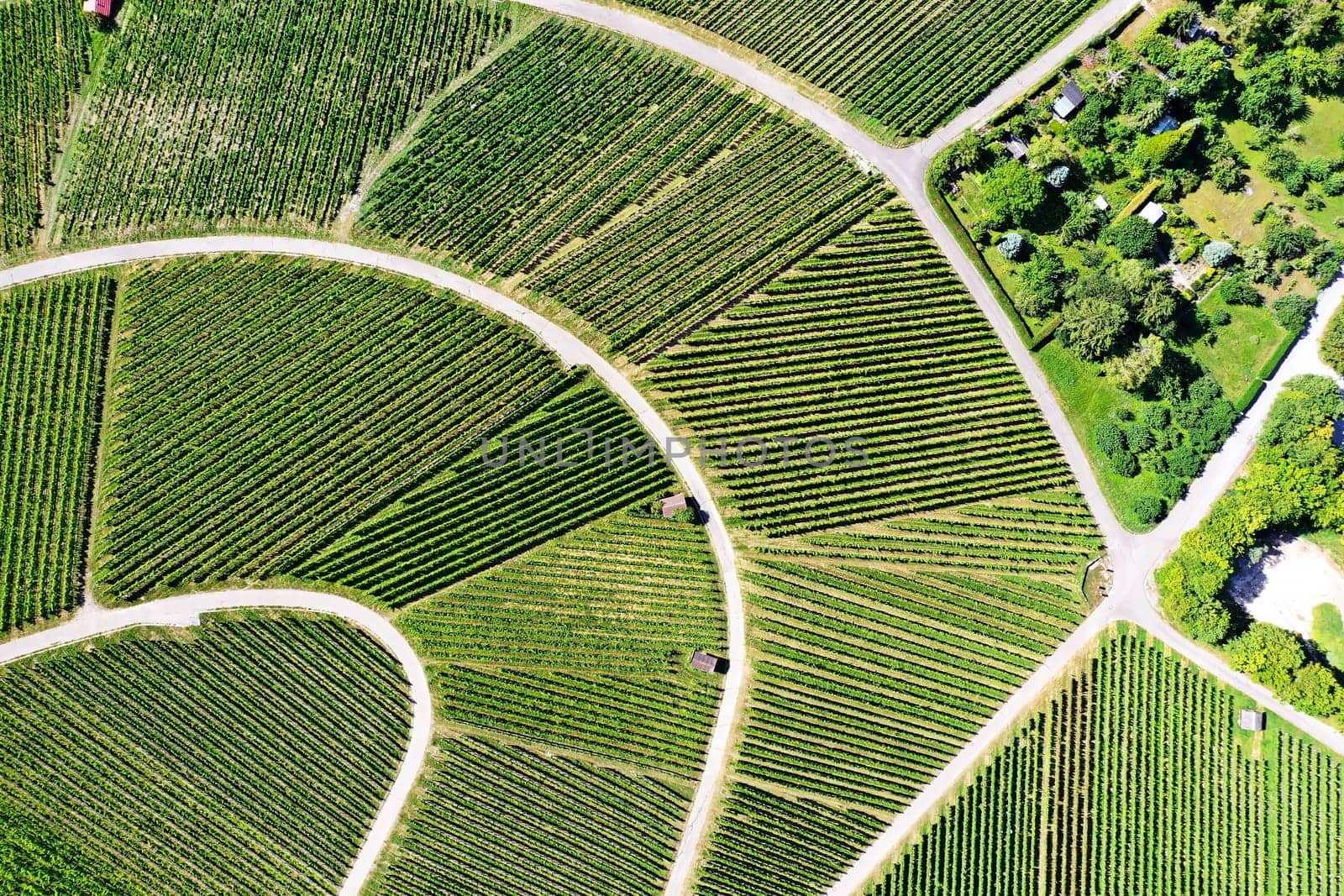 Vineyard from above with paths and roads