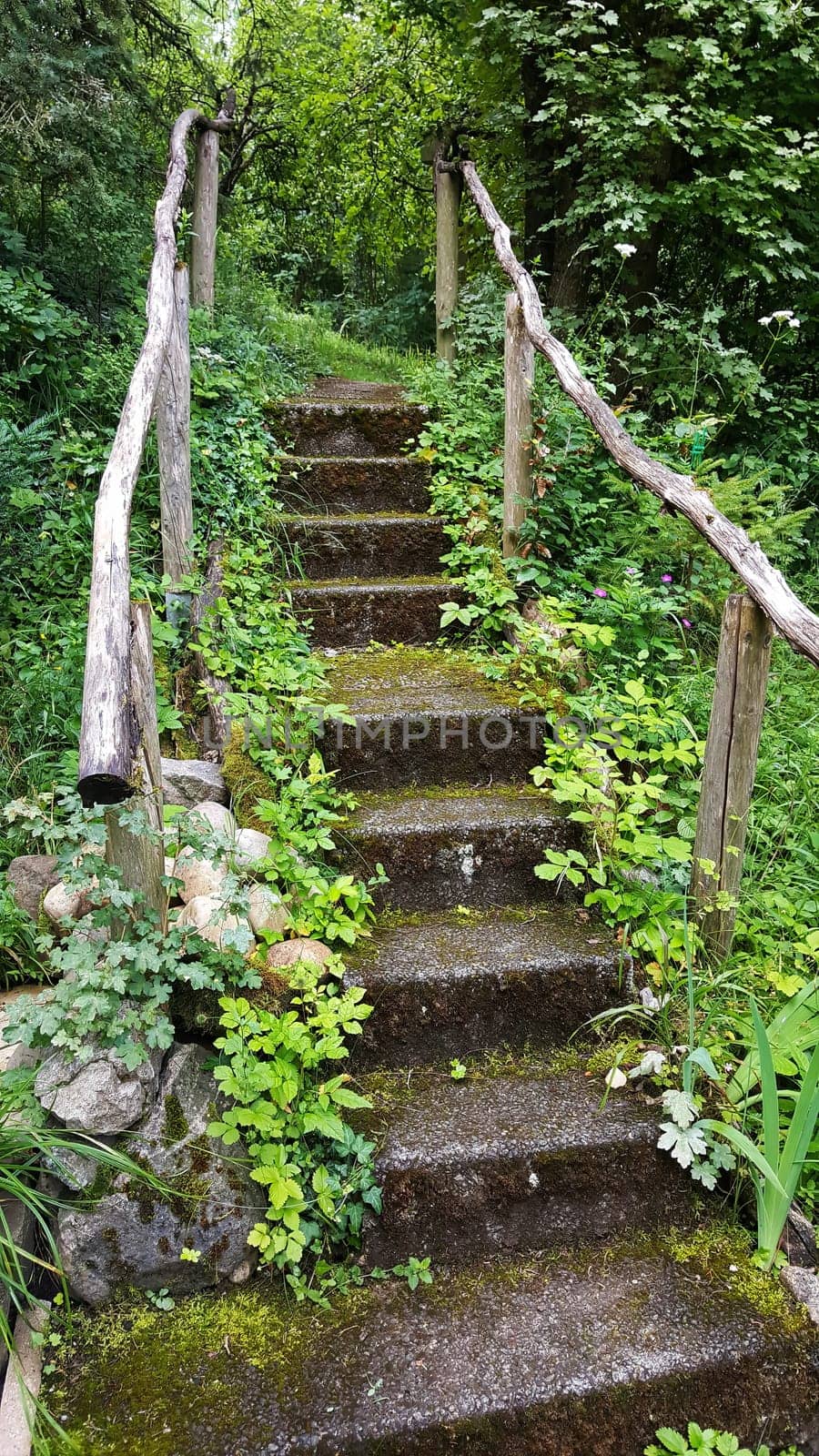 Stairs on the hiking trail through the forest