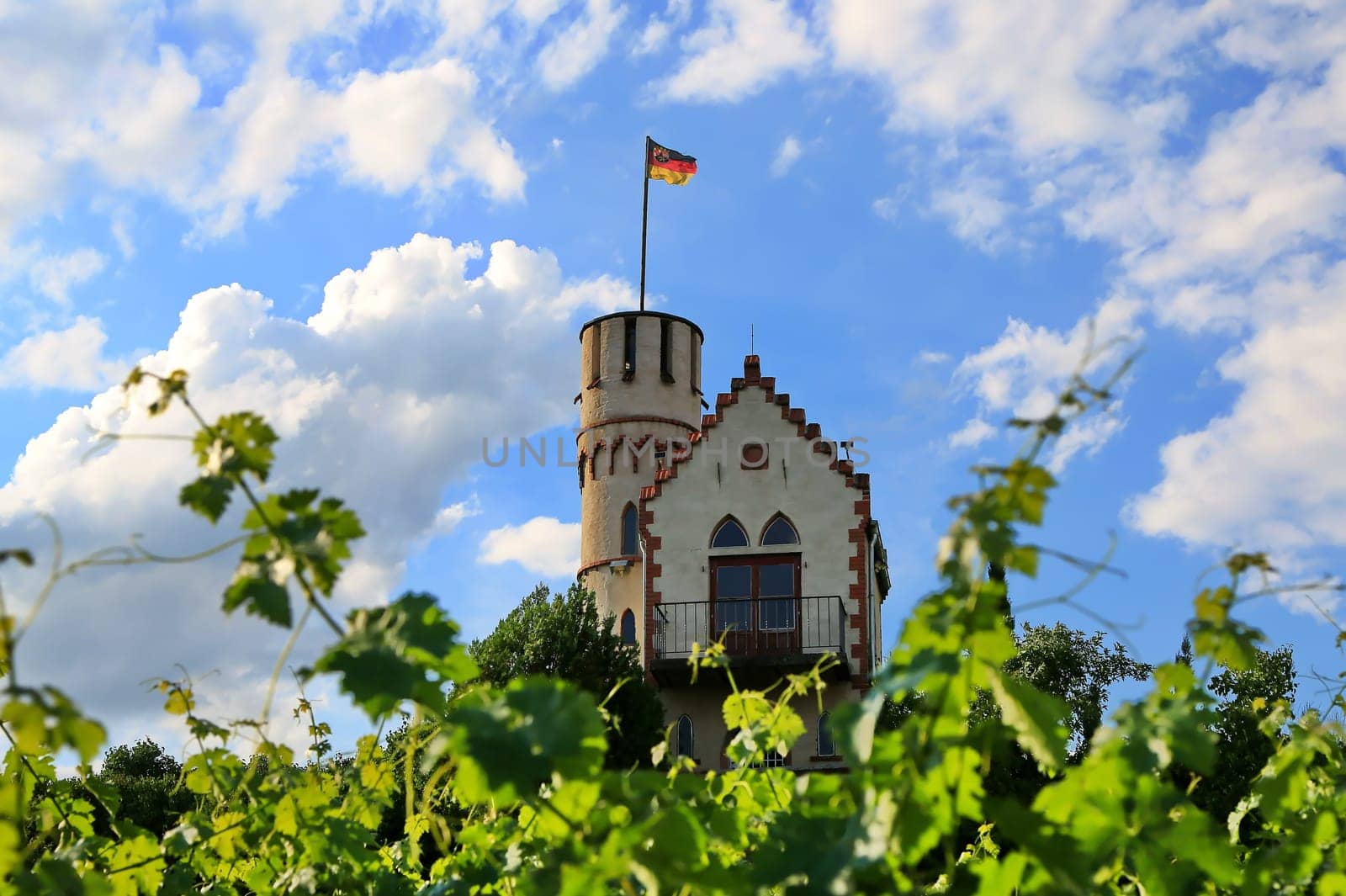 Miniature castle lick cone in the middle of the vineyard