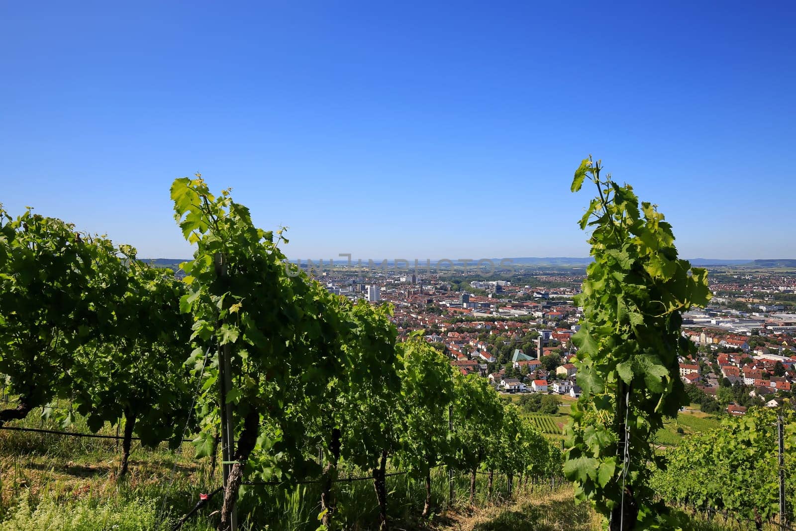 Statue Robert Mayer is a sight of the city of Heilbronn