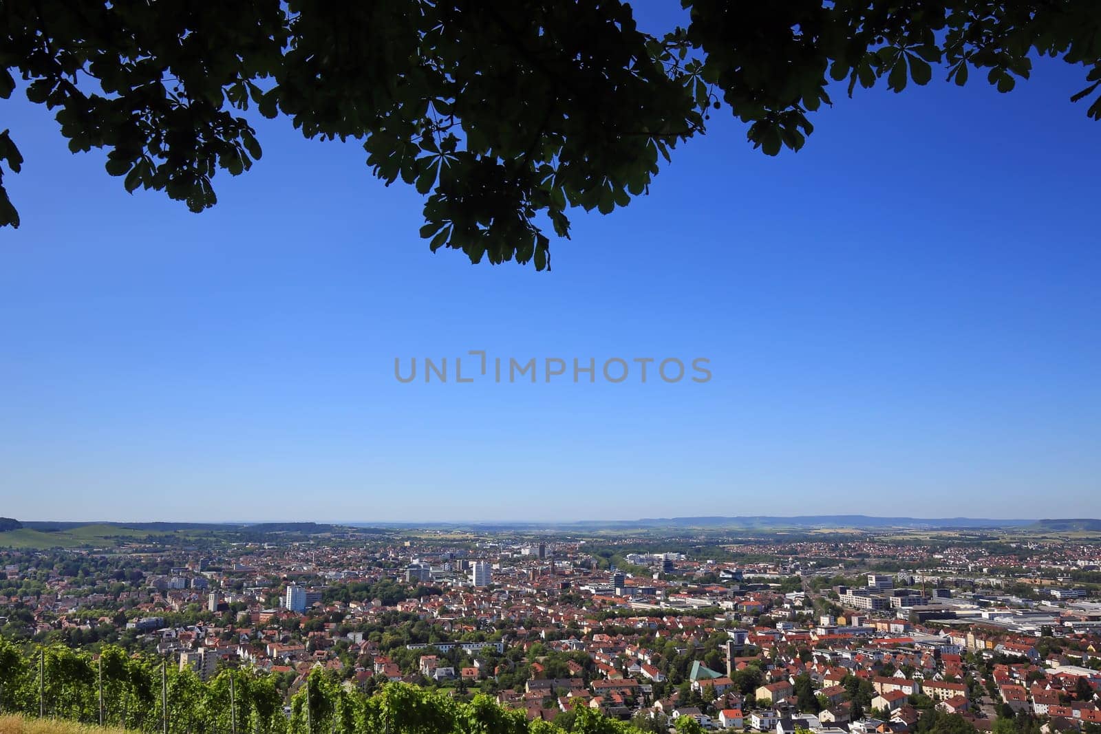 Statue Robert Mayer is a sight of the city of Heilbronn