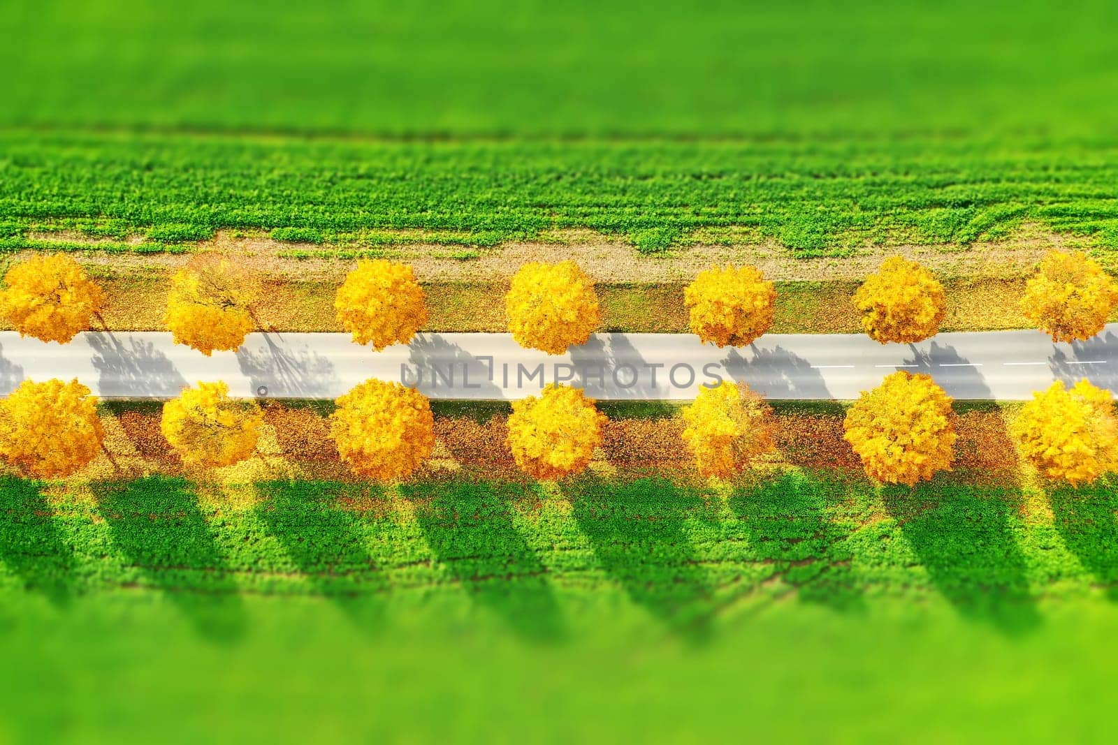 All in the autumn From above