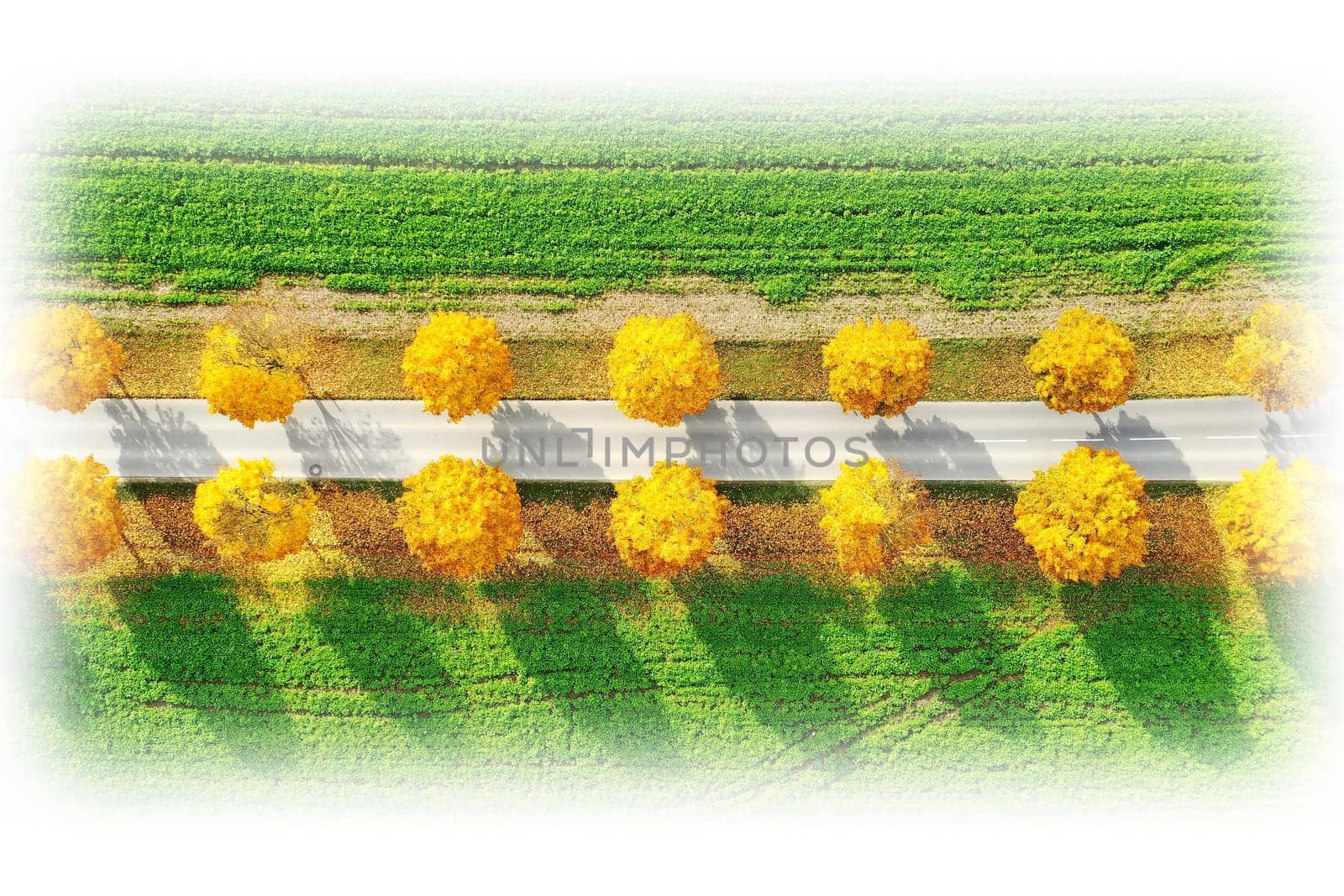 All in the autumn From above