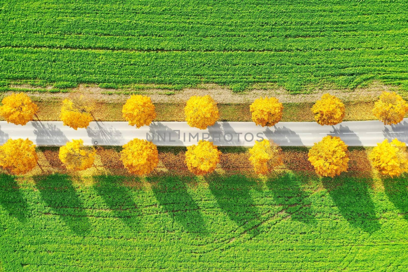 All in the autumn From above