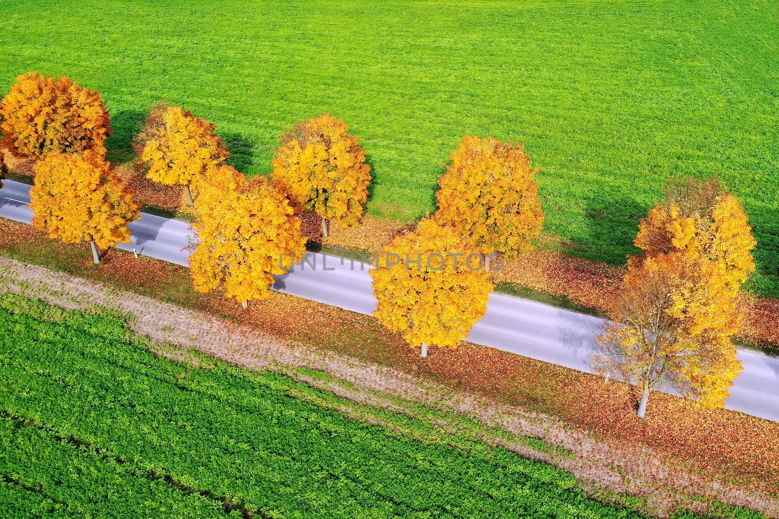 All in the autumn From above