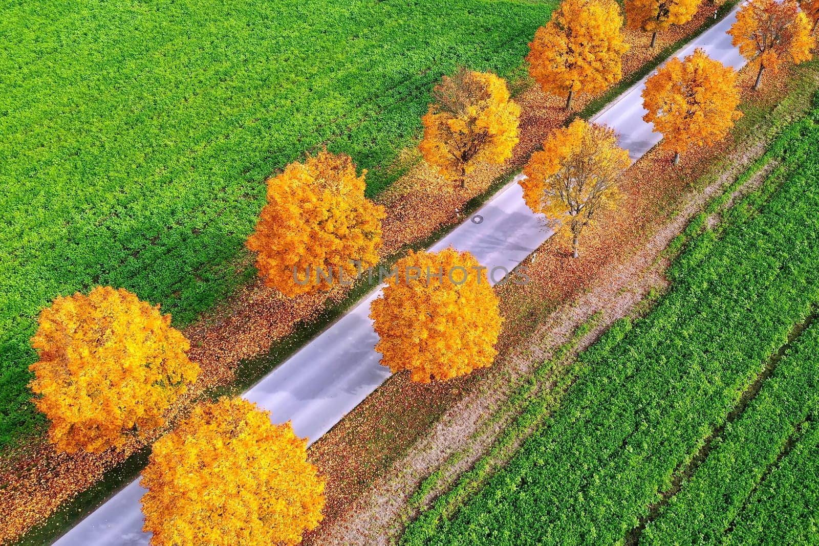 All in the autumn From above