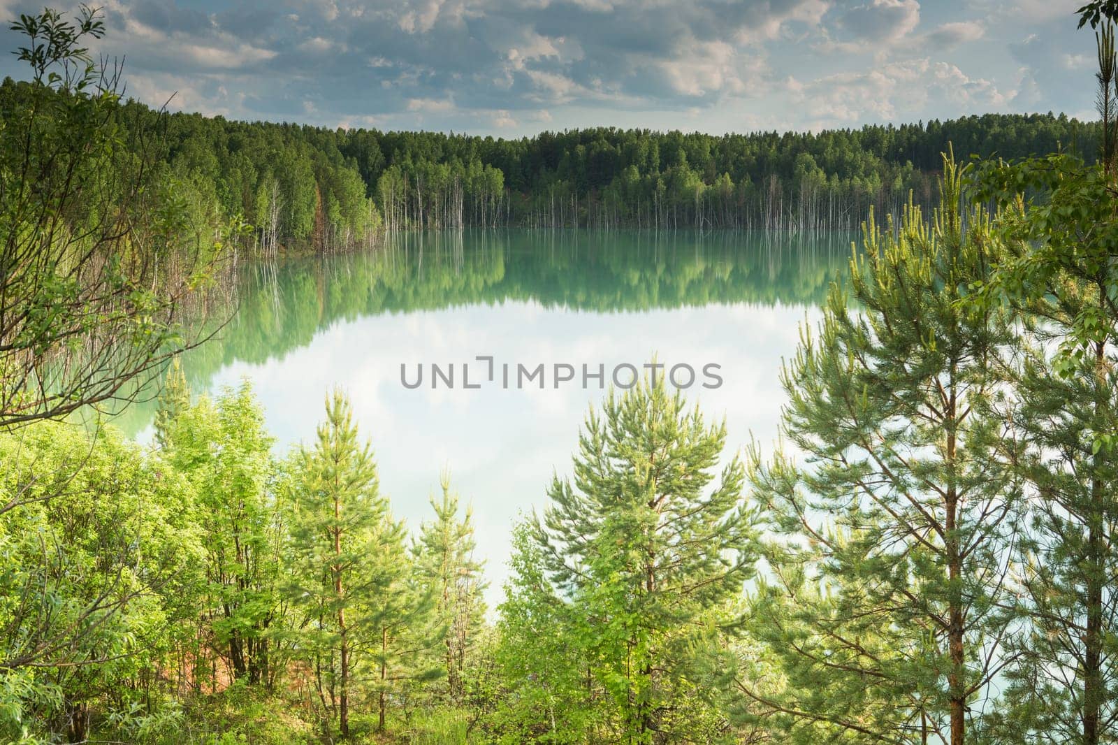 forest lake landscape. Lake view forest