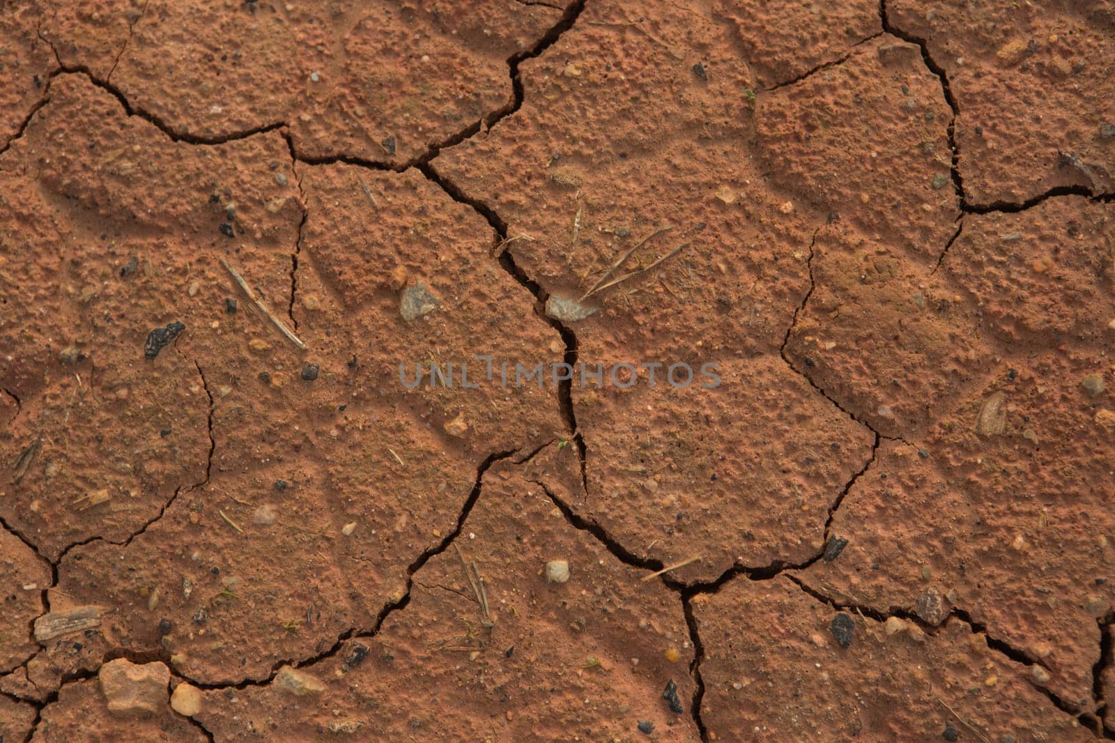 Cracked earth in dry desert.