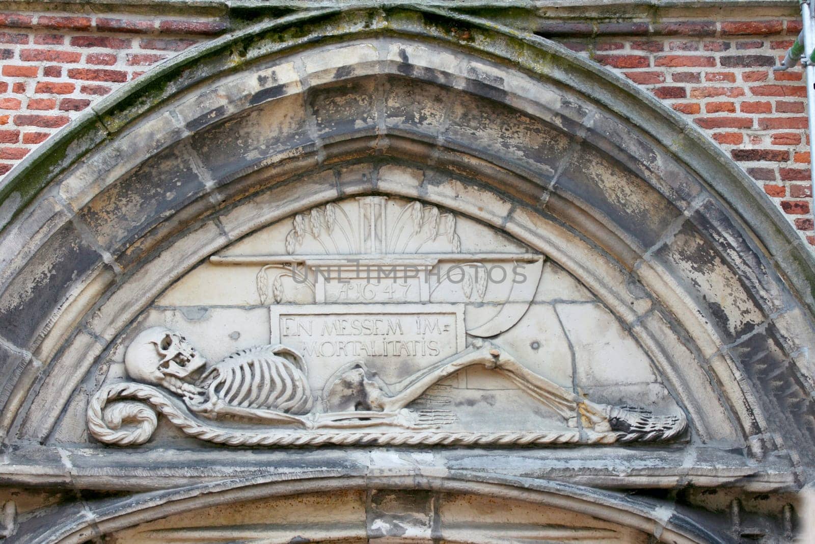 A skeleton lying in stone chiseled