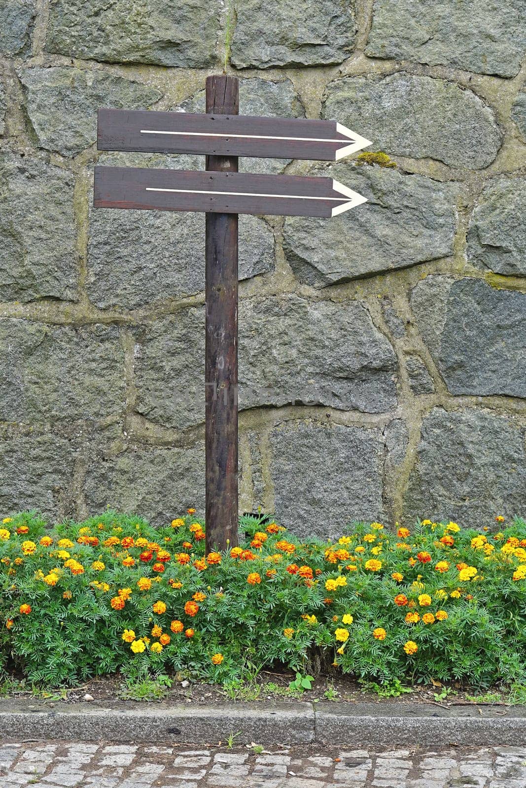 Wooden direction arrow pole sign in park