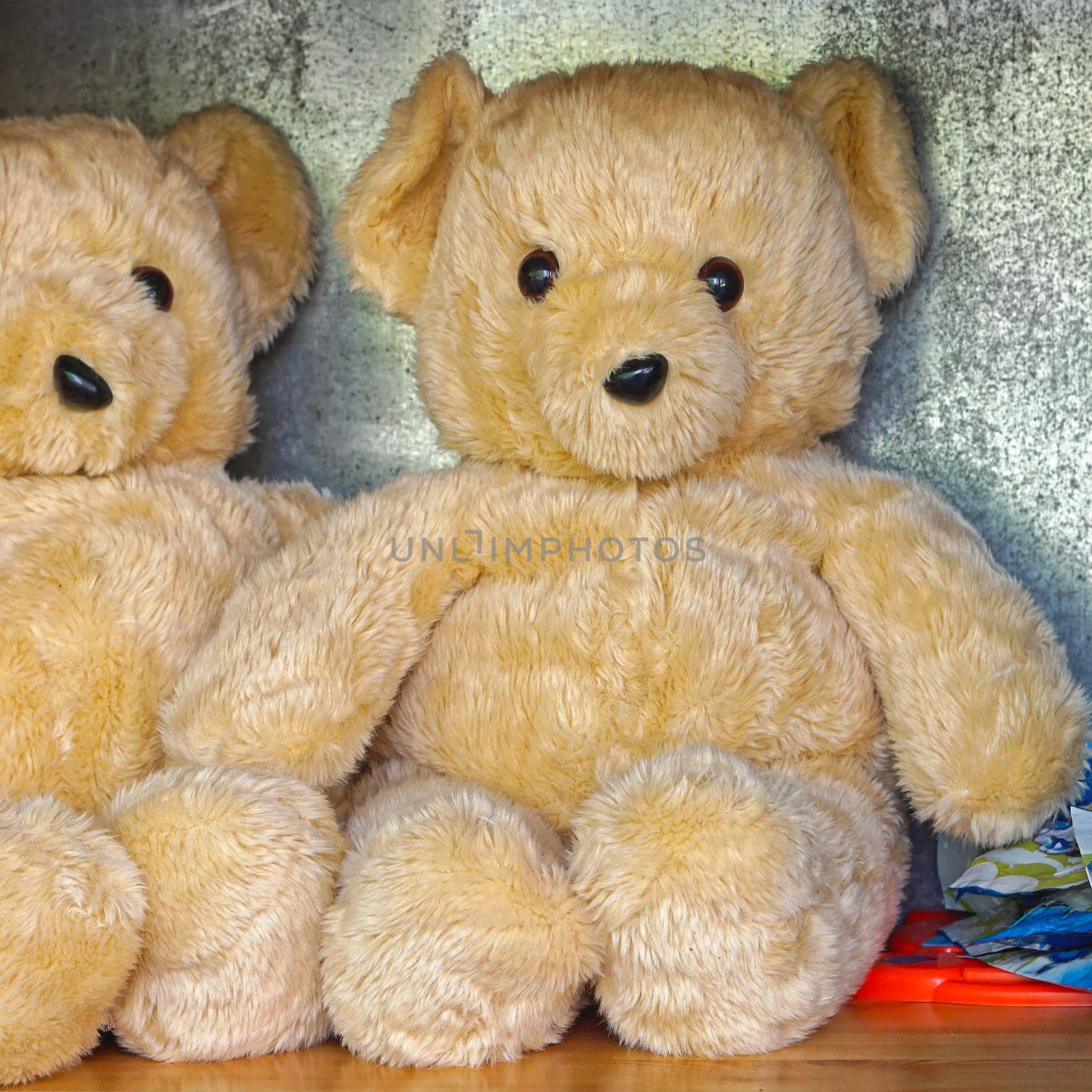 Big plush stuffed cuddly bear toy at shelf