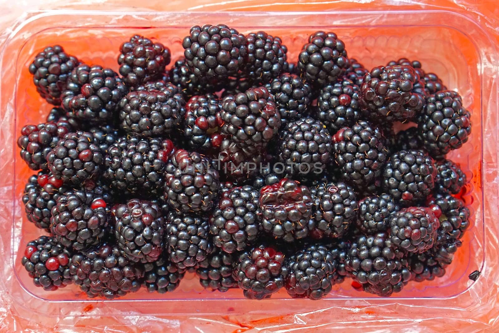 Fresh blackberries in plastic tray