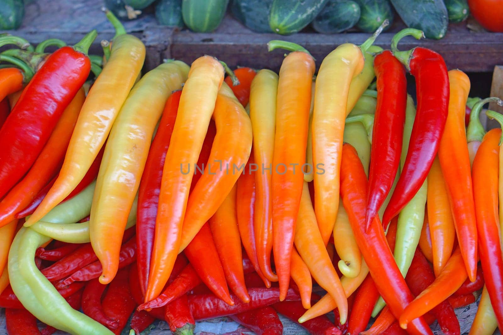 Hot chili peppers at farmers market