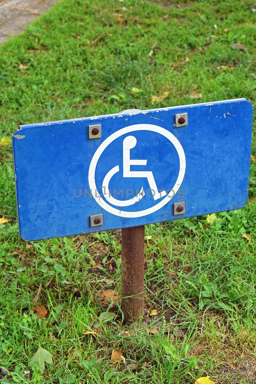 Disabled sign international symbol of access