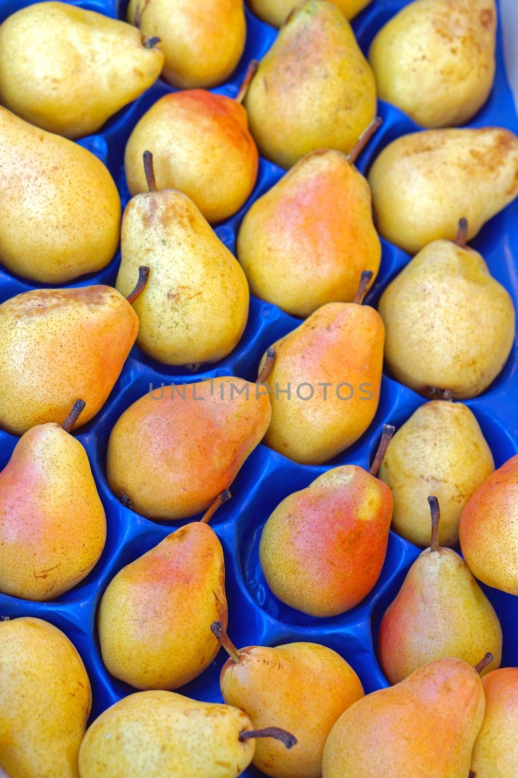 Yellow pears fruits in plastic crate