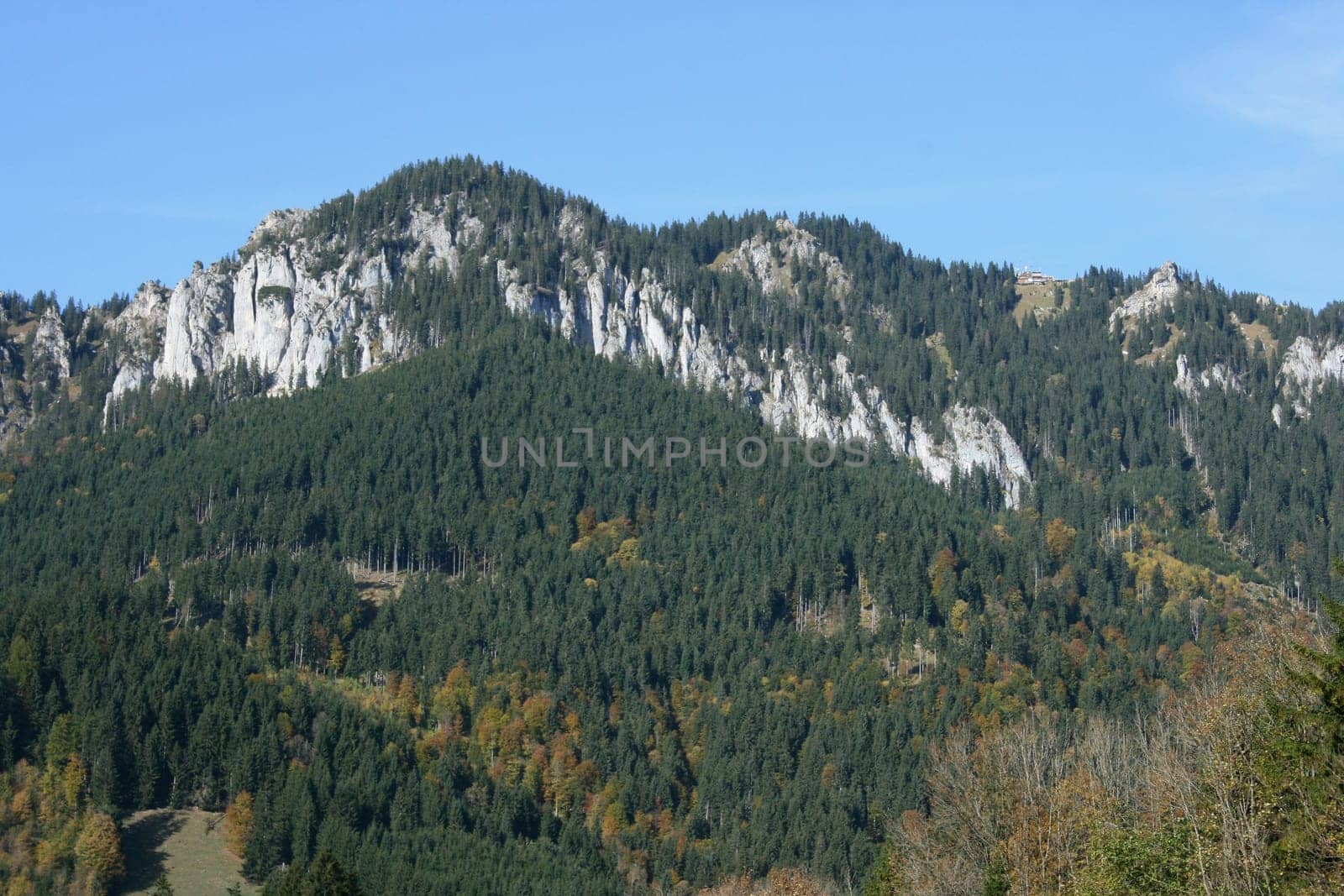 Alpine summits covered with snow, blue sky in the background .