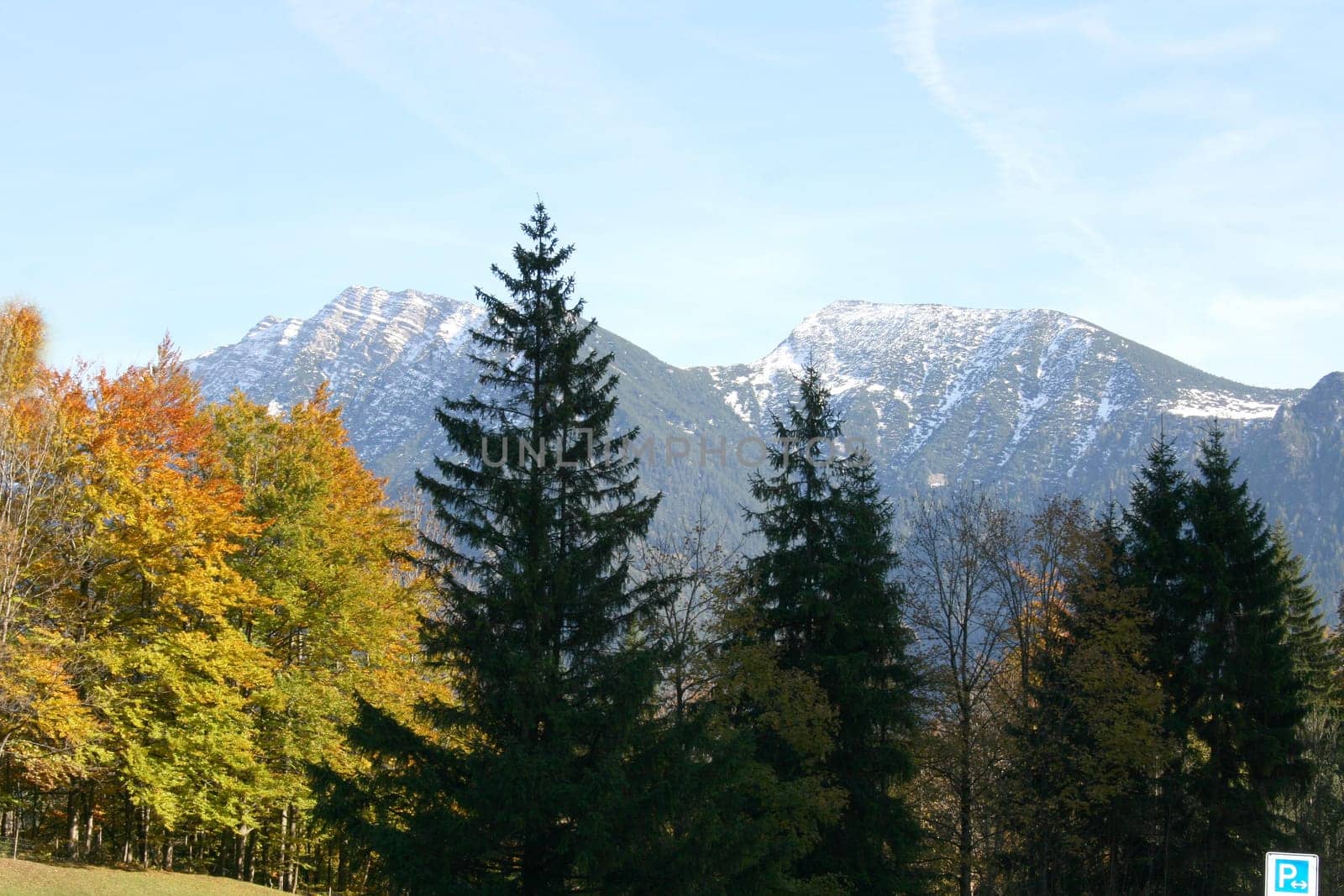 Alpine summits covered with snow, blue sky in the background .