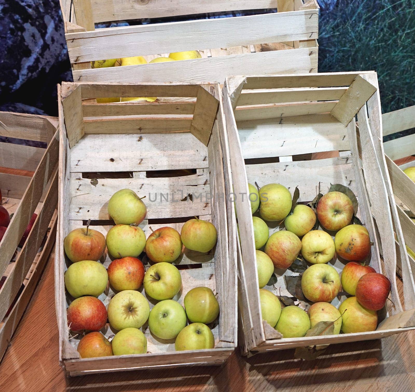 Apples fruits in wooden crates