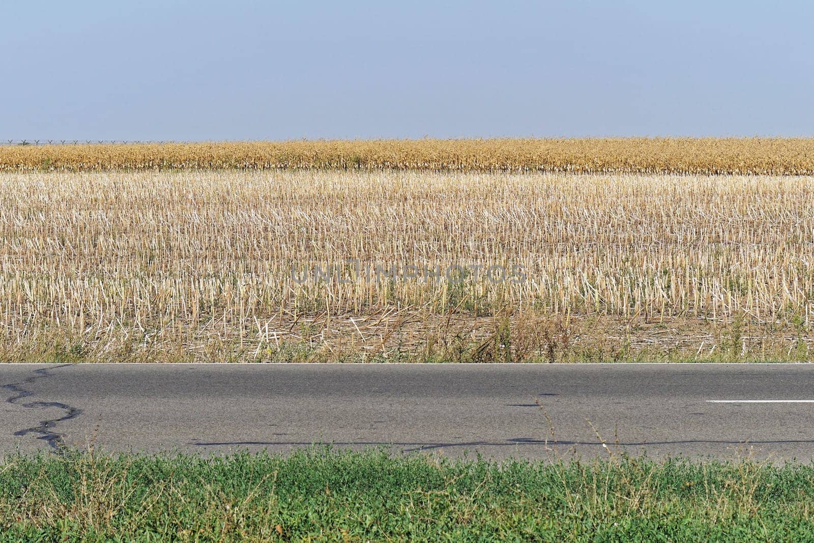 Harvested corn field in layers