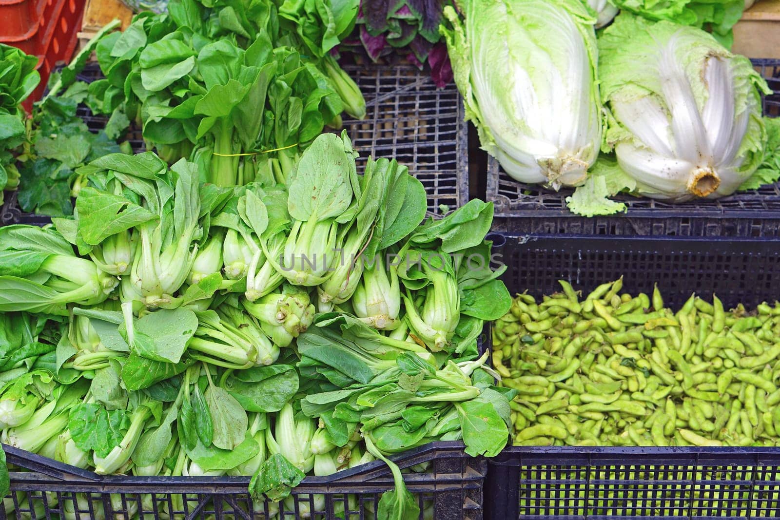 Pak choi chinese vegetables at asian market