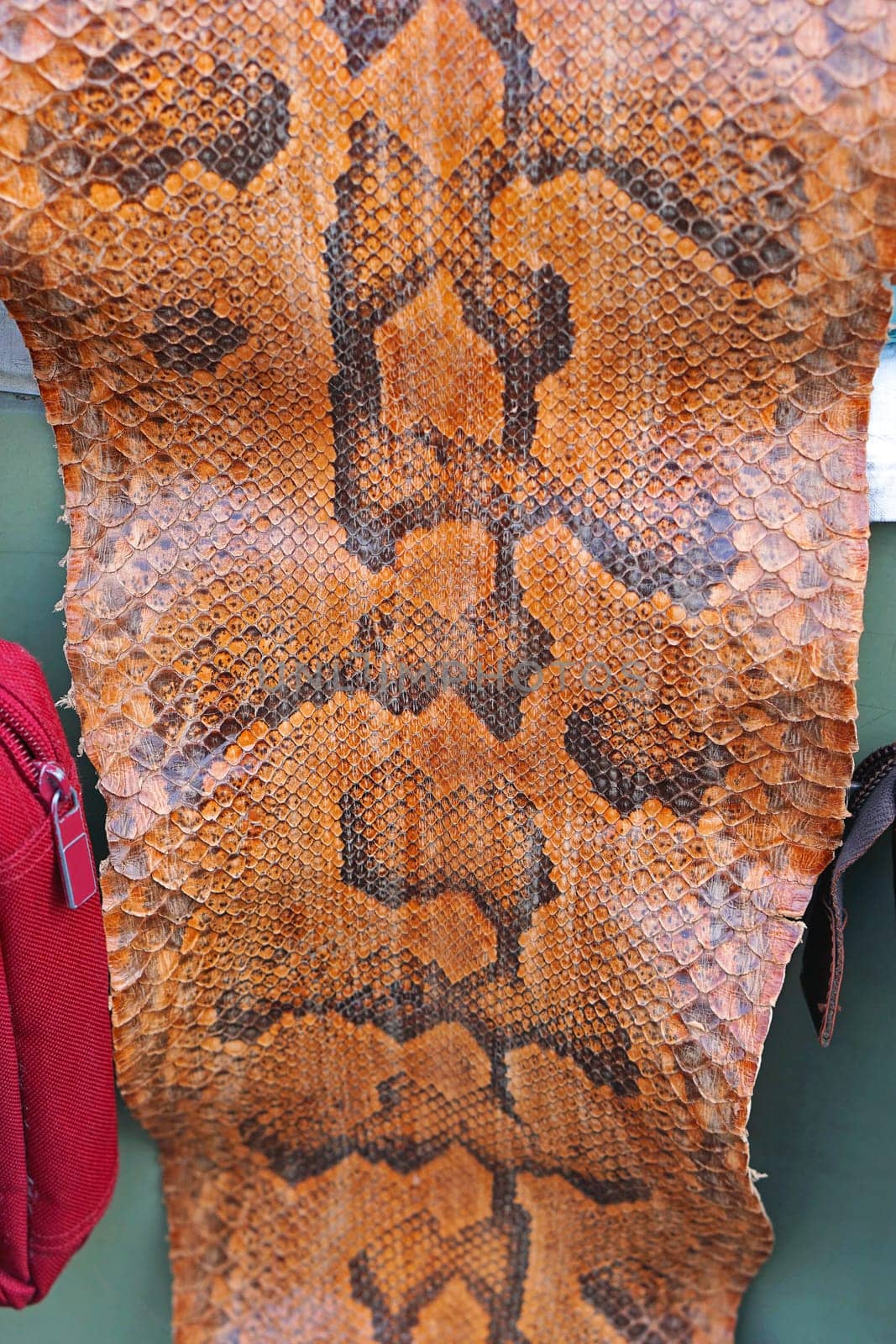 Real snake skin brown leather