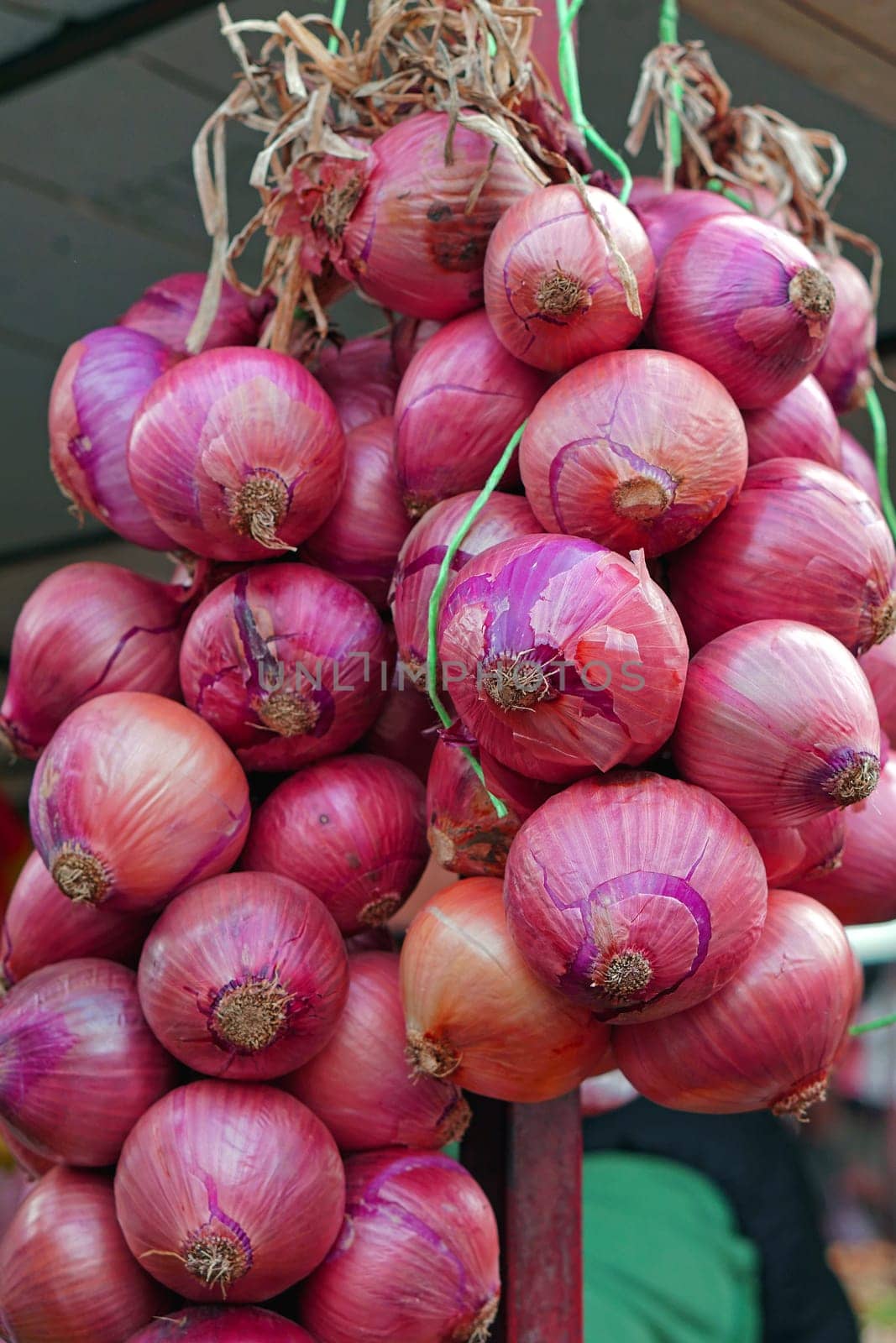 Red onions hanging at farmers market