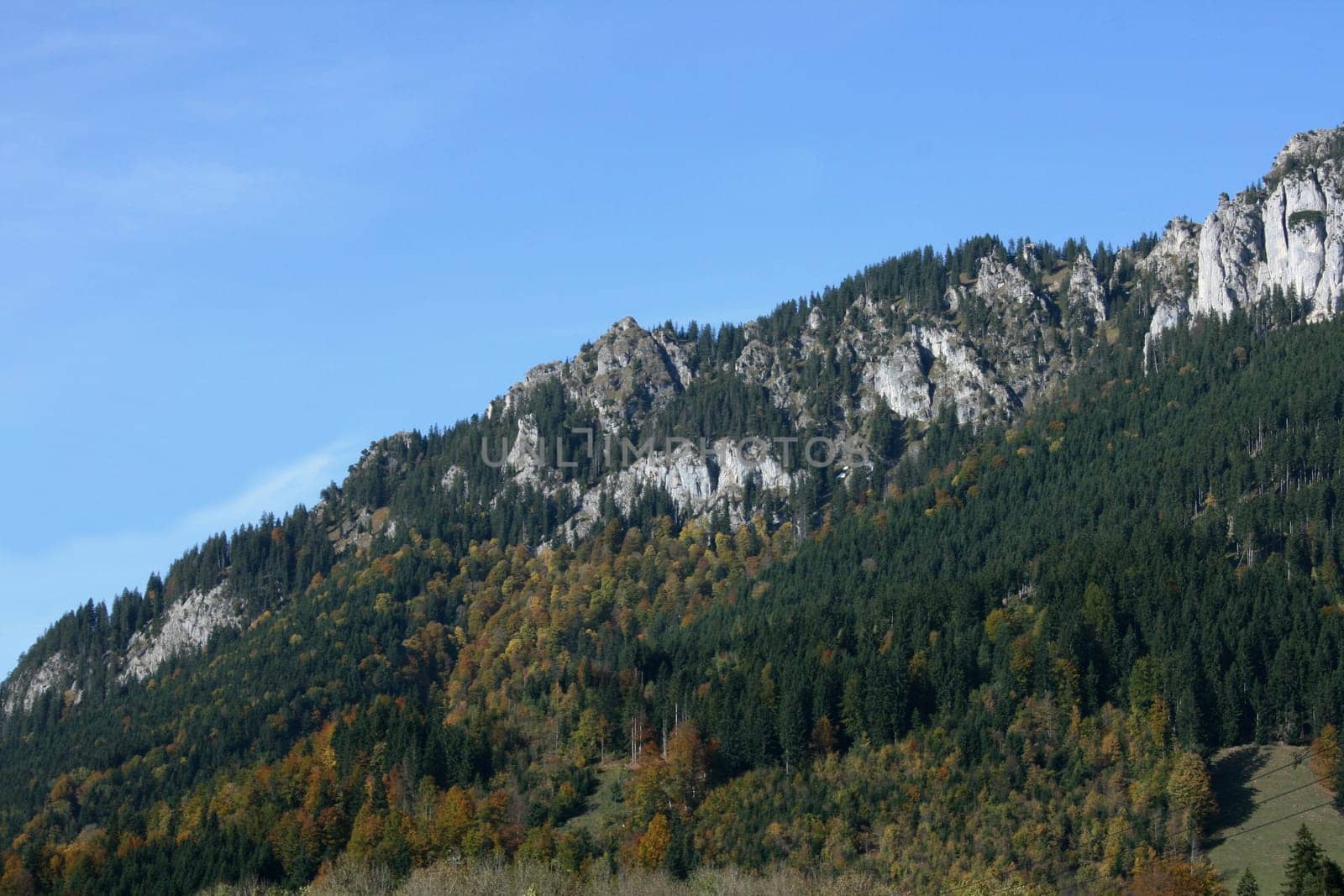 A landscape in the highlands, with rocks, trees and blue sky.
