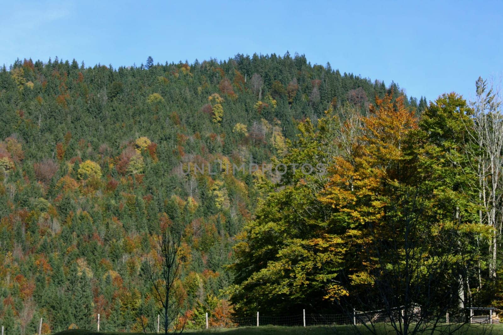 Mountains with a forested mountain landscape.
