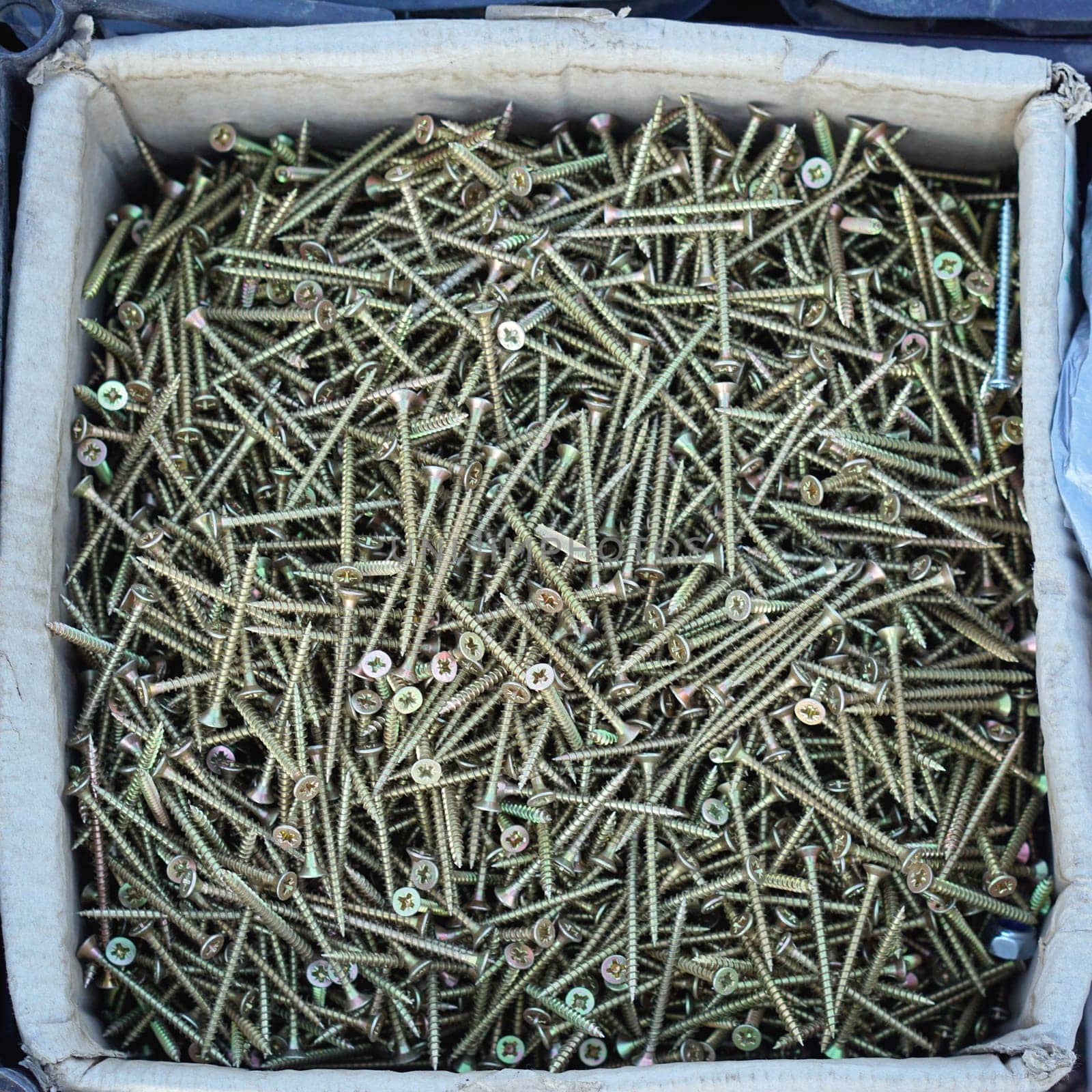 Big pile of screws for wood in box