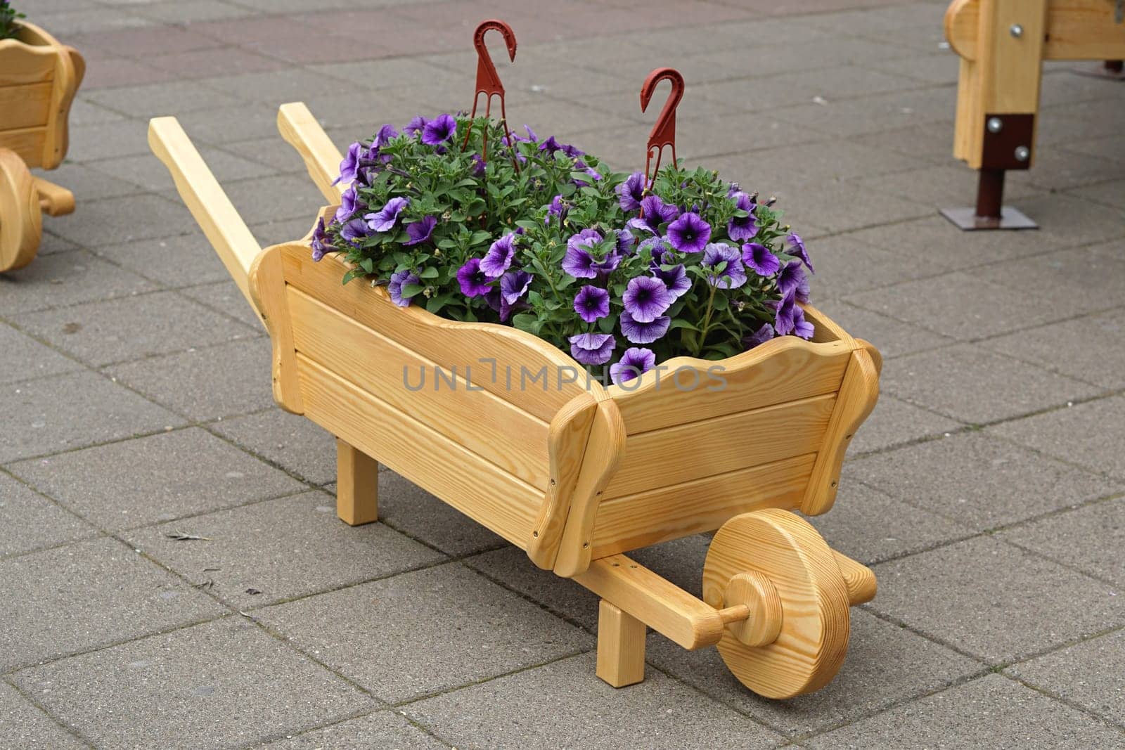 Wooden wheelbarrow with purple flowers