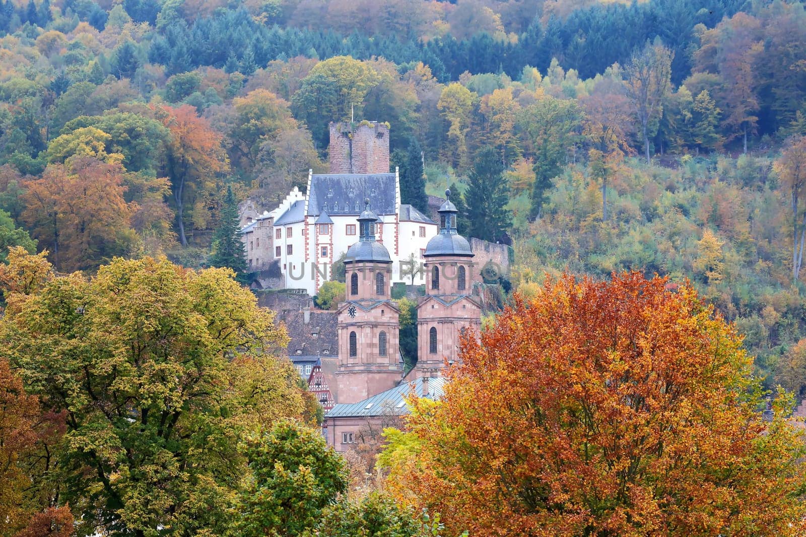 Miltenberg is a city on the Main with many sights