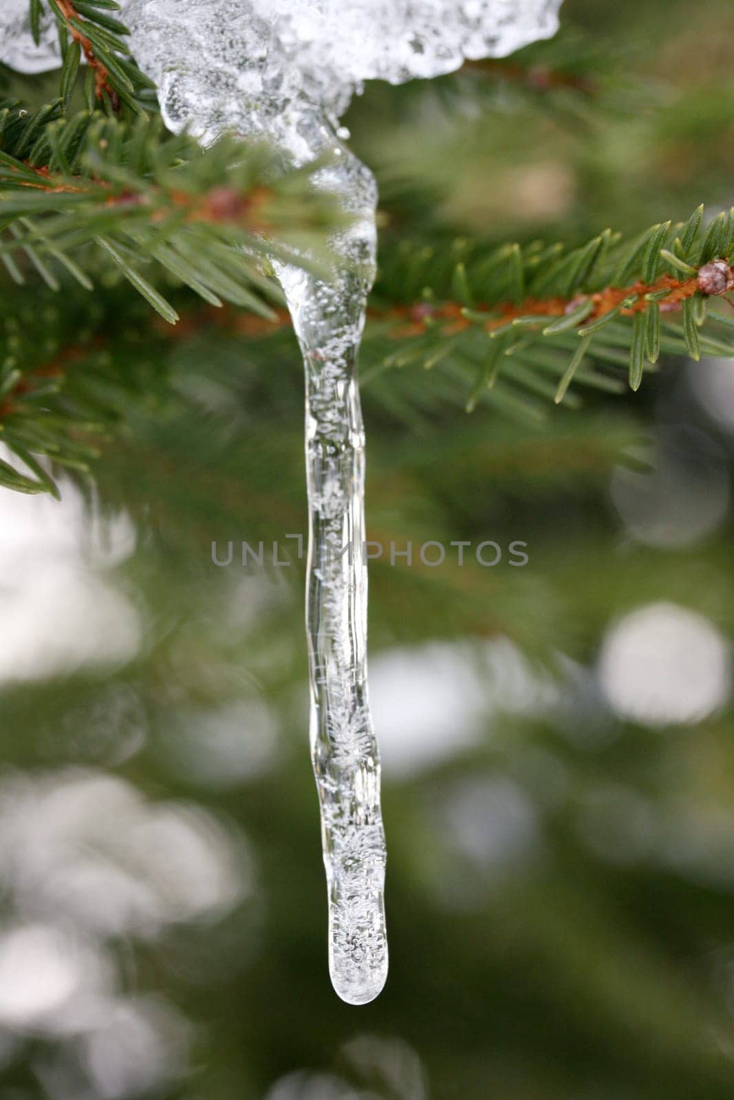 For an icicle frozen water, green background