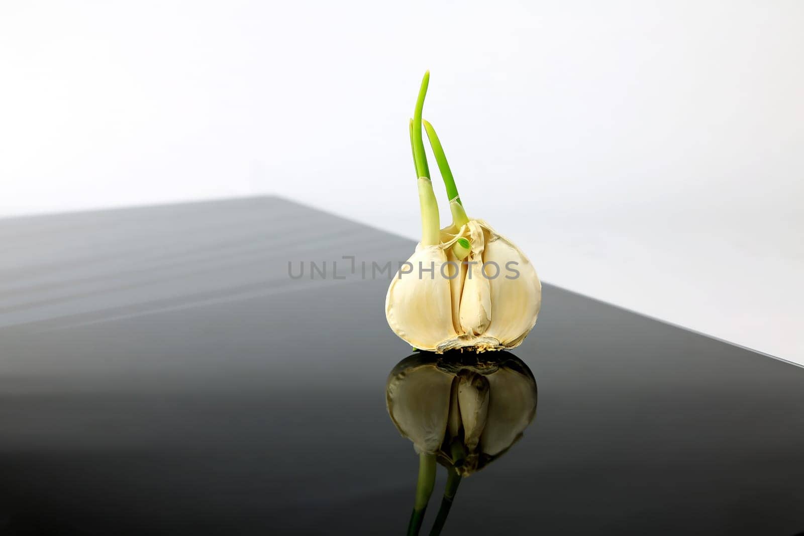 Garlic on a black plate wanders across the picture
