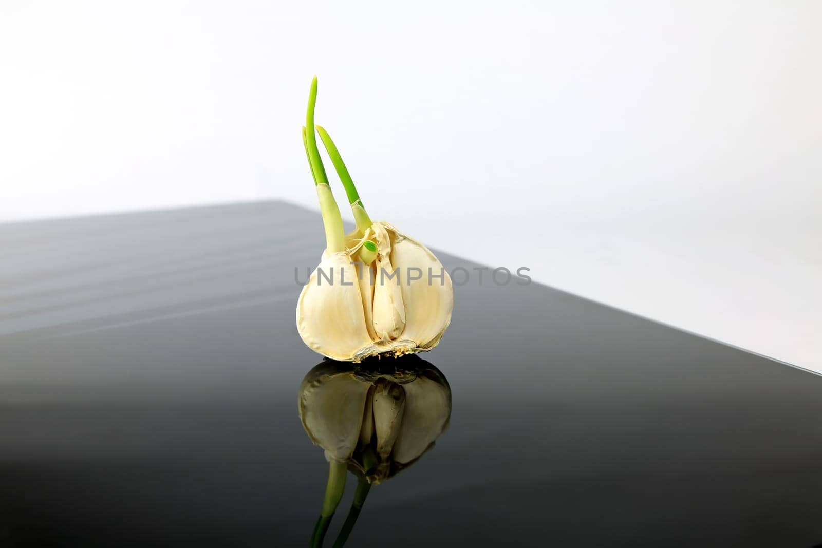 Garlic on a black plate wanders across the picture