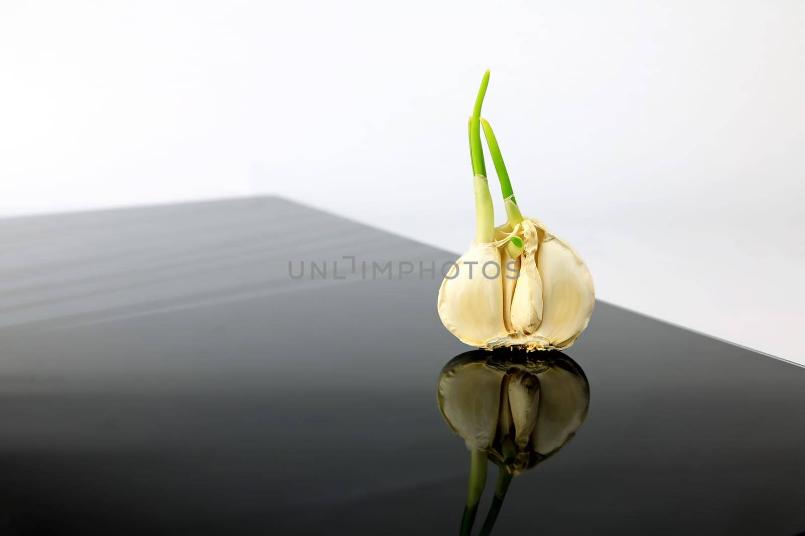 Garlic on a black plate wanders across the picture