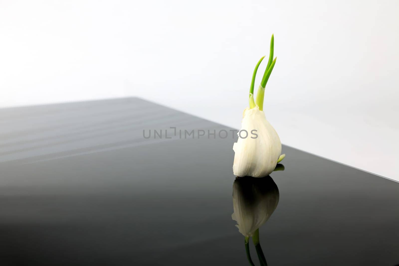 Garlic on a black plate wanders across the picture