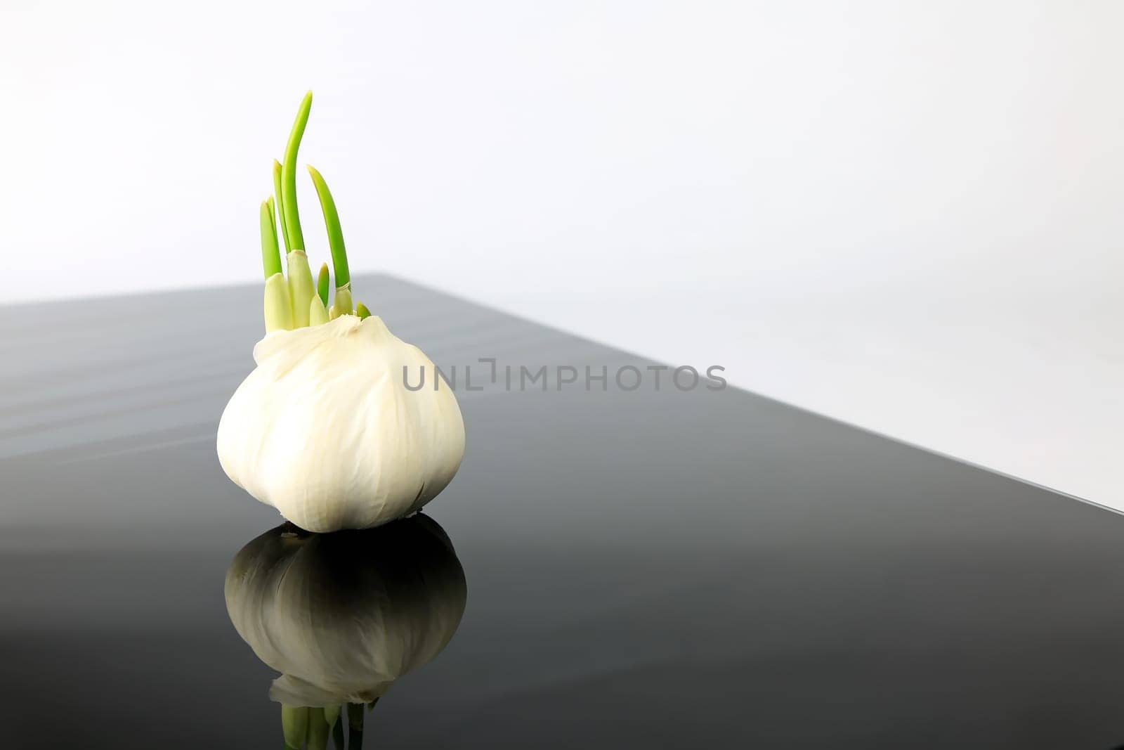 Garlic on a black plate wanders across the picture