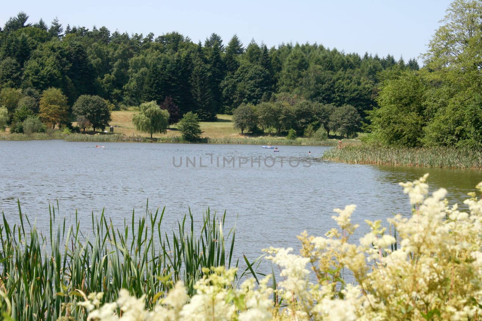 some small trees inlaid a Lake .