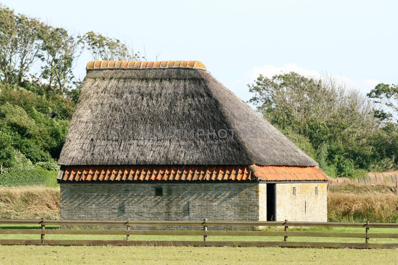 a Sheep barn on the island of Texel, Netherlands, North Sea .
